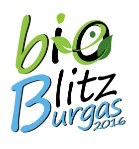 Bio Blitz